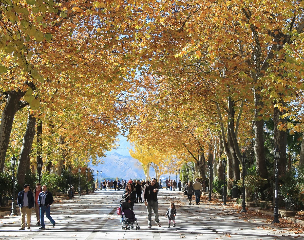 Passeio da Alameda del Tajo, em Ronda, com árvores e balaustrada