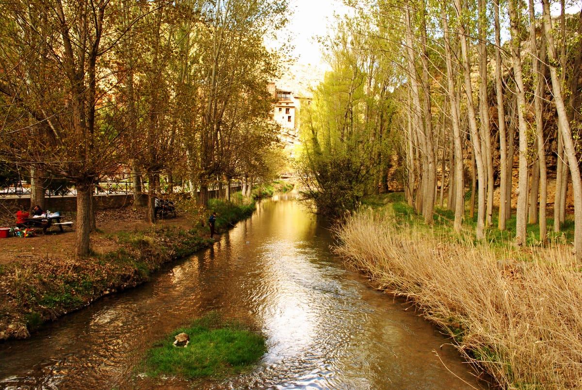 Choupos à margem do rio Guadalaviar em Albarracín