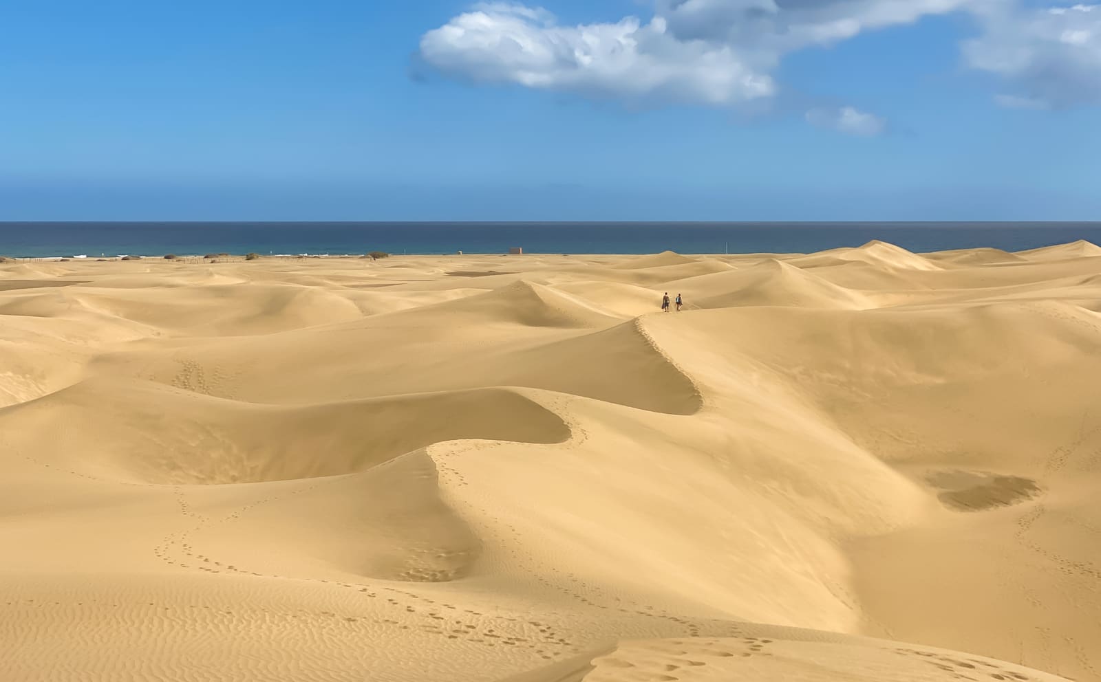 Dunas de areia dourada de Maspalomas com o Atlântico ao fundo, em Gran Canaria