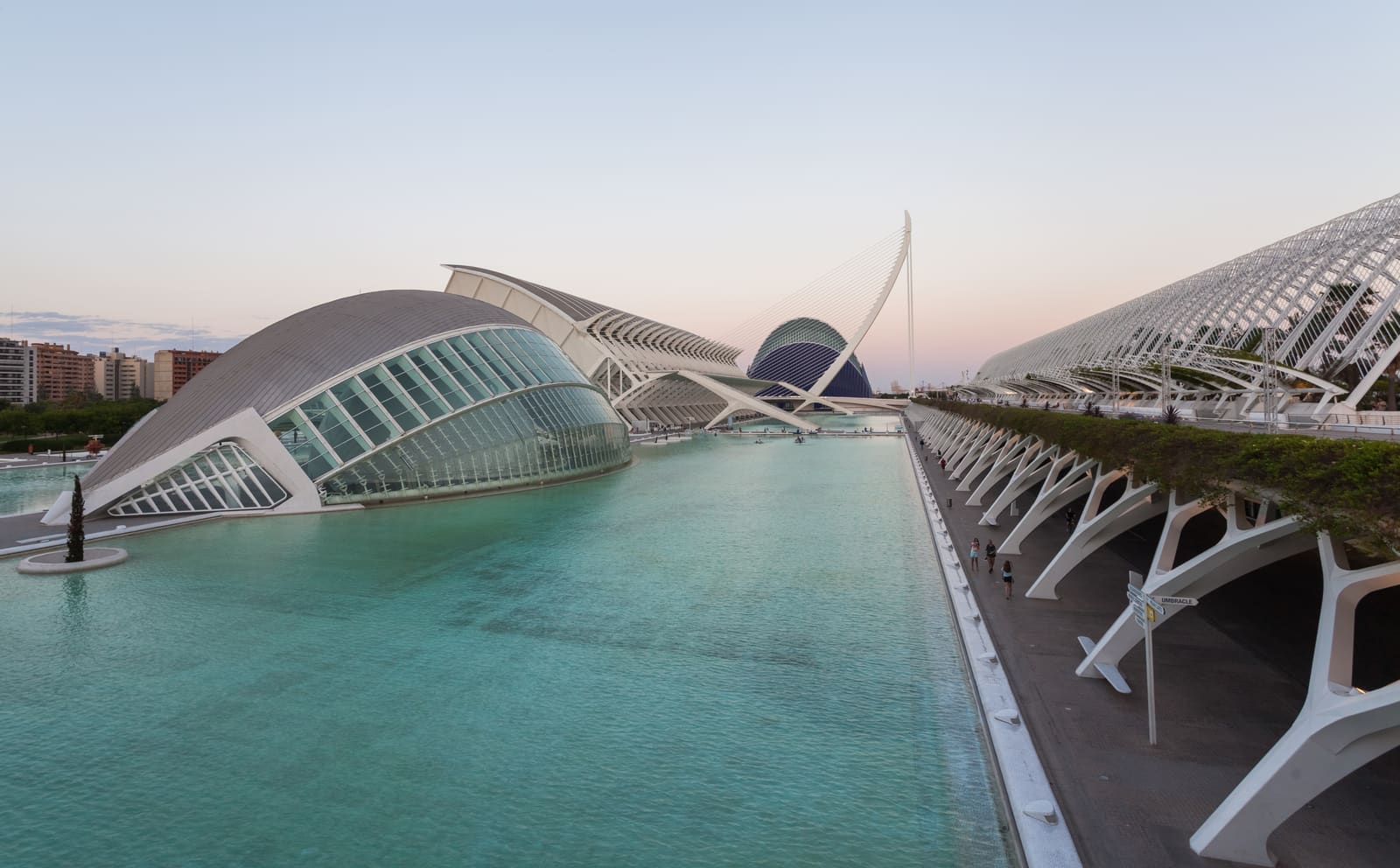 Edifícios brancos da Cidade das Artes e das Ciências de Valência refletidos no espelho de água ao entardecer